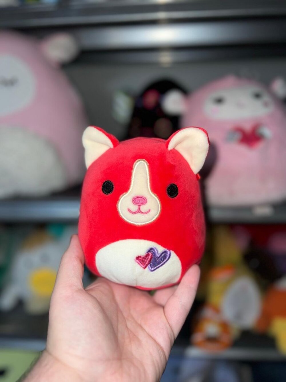 Squishmallows Fitz Corgi Plush Kellytoy 2019 Stuffed Animal Red Dog 5” no tags